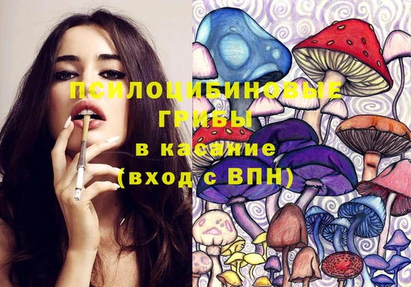 ГАЛЛЮЦИНОГЕННЫЕ ГРИБЫ Белоозёрский