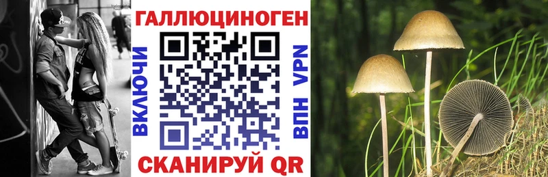 Галлюциногенные грибы Magic Shrooms  мега как войти  Богучар 